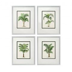 Grafika Palms zestaw 4 szt. Eichholtz - My Honey Home