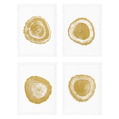 Grafika Tree Rings zestaw 4 szt. Eichholtz - My Honey Home