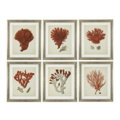 Grafika Antique red corais zestaw 6 szt. Eichholtz - My Honey Home