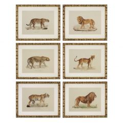 Grafika Lion, Tigre, Jaguar zestaw 6 szt. Eichholtz - My Honey Home