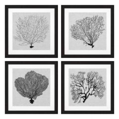 Grafika Shadow Sea Fans zestaw 4 szt. Eichholtz - My Honey Home
